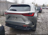 Lexus Nx 250 2T2ADCEZ4NC001792 fotografie