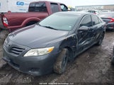 Toyota Camry Se/Le/Xle 4T1BF3EK3AU001281 fotografie