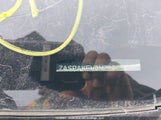 Alfa Romeo Stelvio Quadrifoglio Awd ZASPAKEV8N7D51529 photo