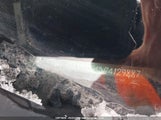 Buick Verano 1G4P15SK3G4129887 снимка