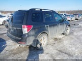 Subaru Forester 2.5 X/2.5 X Touring Package JF2SH6CC1AH904325 fotografie