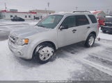 Ford Escape Xlt Automatic/Xlt Manual 1FMCU0D70AKD29470 снимка