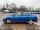 Toyota Corolla S/Le/Xle 2T1BU4EE3AC352182 снимка