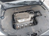 Acura Tl 19UUA8F53AA800109 снимка