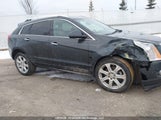Cadillac Srx Performance Collection 3GYFNFE37GS541061 снимка
