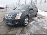 Cadillac Srx Performance Collection 3GYFNFE37GS541061 снимка