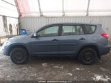 Toyota Rav4 2T3ZF4DV6BW089381 fotografie