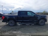 Ford F-150 Xlt 1FTEW1EP2PFC26502 снимка