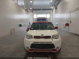 Kia Soul Ex/Ex+/Ex+ Eco/Sport Special Edition/Sx/Sx Luxury/Urban Special Edition KNDJX3A5XG7266140 fotografie