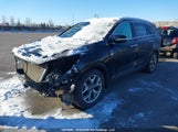 Kia Sorento 3.3L Sx 5XYPKDA57LG662490 fotografie
