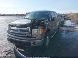 Ford F-150 1FTFW1EF0DFC68061 снимка