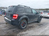 Ford Escape Xlt Automatic 1FMCU0D76BKA63969 photo