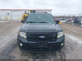 Ford Escape Xlt Automatic 1FMCU0D76BKA63969 fotografie