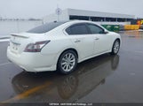 Nissan Maxima Sv 1N4AA5AP5EC494913 снимка