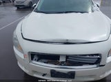 Nissan Maxima Sv 1N4AA5AP5EC494913 снимка