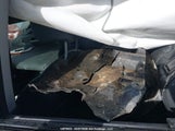 Honda Pilot Touring 5FNYF4H93EB505311 снимка