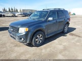 Ford Escape 1FMCU94168KA84958 fotografie