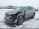 Hyundai Santa Fe Sport 2.0T Premium 5XYZUDLA2DG076438 fotografie