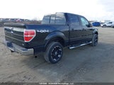 Ford F-150 1FTFW1EV9AFA01066 снимка