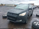 Ford Escape Se 1FMCU0GXXFUC52162 снимка