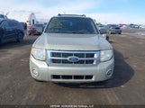 Ford Escape Xlt 1FMCU9DG8AKA28899 снимка