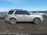 Ford Escape Xlt 1FMCU9DG8AKA28899 снимка