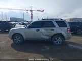 Ford Escape Xlt 1FMCU9DG8AKA28899 снимка