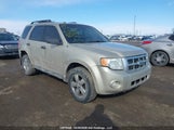 Ford Escape Xlt 1FMCU9DG8AKA28899 снимка