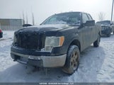 Ford F-150 Fx4/Lariat/Svt Raptor/Xl/Xlt 1FTFX1EVXAFD59001 photo