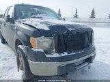 Ford F-150 Fx4/Lariat/Svt Raptor/Xl/Xlt 1FTFX1EVXAFD59001 снимка