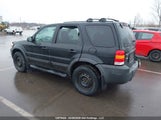 Ford Escape Xlt 1FMCU93185KD26081 снимка