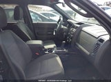 Ford Escape Xlt 1FMCU0DG6BKB31543 снимка