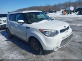 Kia Soul Energy Edition/Ex/Ex+/Ex+ Eco/Sport Special Edition/Sx/Sx Luxury/Urban Special Edition KNDJP3A57G7304620 fotografie