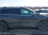 Jeep Cherokee Limited 1C4PJMDS5EW262678 снимка