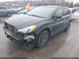Subaru Xv Crosstrek Sport Package/Touring JF2GPACC0D2814358 fotografie