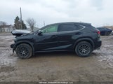 Lexus Nx 300 JTJBARBZ4K2202236 снимка