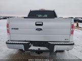 Ford F-150 1FTFW1EV3AFA59156 снимка