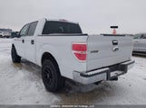 Ford F-150 1FTFW1EV3AFA59156 снимка