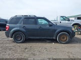 Ford Escape Xlt Automatic 1FMCU03G39KA48468 снимка