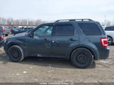 Ford Escape Xlt Automatic 1FMCU03G39KA48468 снимка