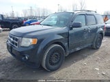 Ford Escape Xlt Automatic 1FMCU03G39KA48468 снимка