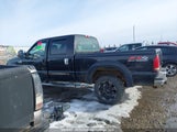 Ford F-250 Lariat/Xl/Xlt 1FTSW21P16EB59653 photo