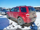 Ford Escape 1FMCU93719KA90836 fotografie