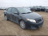 Toyota Corolla Ce 2T1BU40E19C160813 снимка