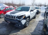 Jeep Cherokee Trailhawk 1C4PJMBS6GW368370 снимка
