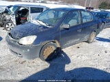 Toyota Echo JTDBT123635038336 fotografie