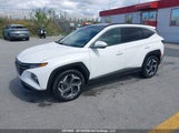 Hyundai Tucson Luxury KM8JCCA17PU088662 снимка
