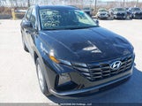 Hyundai Tucson KM8JBCAE3PU195939 снимка