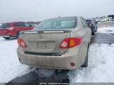 Toyota Corolla S/Le/Xle 2T1BU4EE2AC382418 снимка
