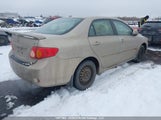 Toyota Corolla S/Le/Xle 2T1BU4EE2AC382418 снимка